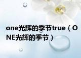 one光辉的季节true（ONE光辉的季节）