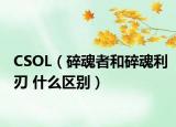 CSOL（碎魂者和碎魂利刃 什么区别）