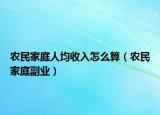 农民家庭人均收入怎么算（农民家庭副业）