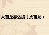 火苗龙怎么抓（火苗龙）