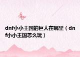 dnf小小王国的巨人在哪里（dnf小小王国怎么玩）