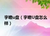 宇瞻u盘（宇瞻U盘怎么样）