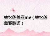 林忆莲盖亚mv（林忆莲盖亚歌词）