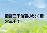 后宫三千佳丽小说（后宫三千）