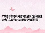 广东省干部培训网络学院刷课（如何快速完成广东省干部培训网络学院的课程）