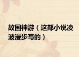 故国神游（这部小说凌波漫步写的）