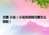 月票 小说（小说阅读网月票怎么领取）