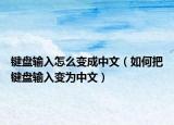 键盘输入怎么变成中文（如何把键盘输入变为中文）