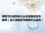哪里可以查到会计从业资格证证书编号（会计资格证书编号怎么查询）