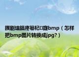 鍥剧墖鎬庝箞杞寲bmp（怎样把bmp图片转换成jpg?）