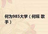 何为985大学（何瑶 歌手）