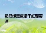 鹦鹉螺黑皮诺干红葡萄酒
