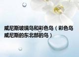 威尼斯玻璃岛和彩色岛（彩色岛 威尼斯的东北部的岛）