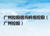 广州控股借壳岭南控股（广州控股）