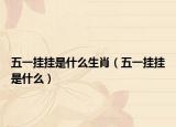 五一挂挂是什么生肖（五一挂挂是什么）