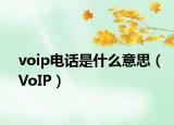 voip电话是什么意思（VoIP）