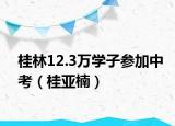 桂林12.3万学子参加中考（桂亚楠）