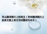 怎么翻译图片上的英文（怎样翻译图片上的英文图上英文怎样翻译为中文）