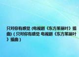 只对你有感觉 (电视剧《东方茱丽叶》插曲)（只对你有感觉 电视剧《东方茱丽叶》插曲）