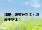纯爱小说推荐晋江（纯爱小护士）