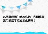 九阴真经无门派怎么玩（九阴真经无门派武学招式怎么获得）