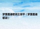 梦里是谁歌词王馨平（梦里是谁歌词）
