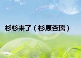杉杉来了（杉原杏璃）