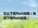 怎么下载flash动画（如何下载flash动画）