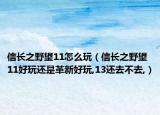 信长之野望11怎么玩（信长之野望11好玩还是革新好玩,13还去不去,）