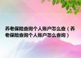 养老保险查询个人账户怎么查（养老保险查询个人账户怎么查询）