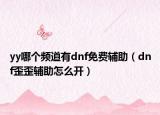 yy哪个频道有dnf免费辅助（dnf歪歪辅助怎么开）
