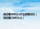 向日葵300111什么时候分红（向日葵[300111]）