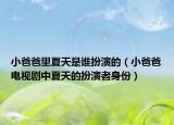 小爸爸里夏天是谁扮演的（小爸爸电视剧中夏天的扮演者身份）