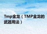 Tmp金龙（TMP金龙的武器用法）