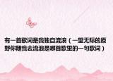 有一首歌词是我独自流浪（一望无际的原野你随我去流浪是哪首歌里的一句歌词）