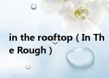 in the rooftop（In The Rough）