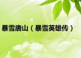 暴雪唐山（暴雪英雄传）