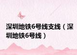 深圳地铁6号线支线（深圳地铁6号线）