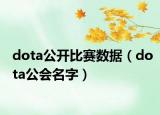 dota公开比赛数据（dota公会名字）