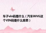 车子vin码是什么（汽车WVG这个VIN码是什么意思）