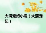大清宠妃小说（大清宠妃）