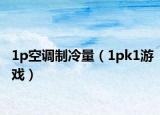 1p空调制冷量（1pk1游戏）