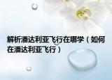 解析潘达利亚飞行在哪学（如何在潘达利亚飞行）