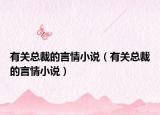 有关总裁的言情小说（有关总裁的言情小说）