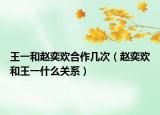 王一和赵奕欢合作几次（赵奕欢和王一什么关系）