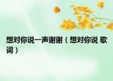 想对你说一声谢谢（想对你说 歌词）