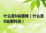 什么是b站春晚（什么是B站黑科技）