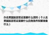 办去美国旅游签证需要什么资料（个人去美国旅游签证需要什么自身条件和要准备什么）
