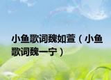 小鱼歌词魏如萱（小鱼歌词魏一宁）