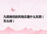 九阴真经的风物志是什么东西（怎么得）